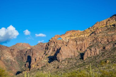 Arizona 'daki Organ Borusu Kaktüsü NM' nin manzarası