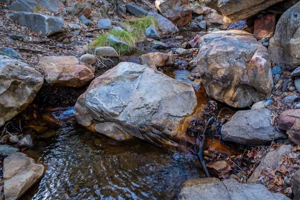 Uma Vista Para Madera Canyon Arizona — Fotografia de Stock