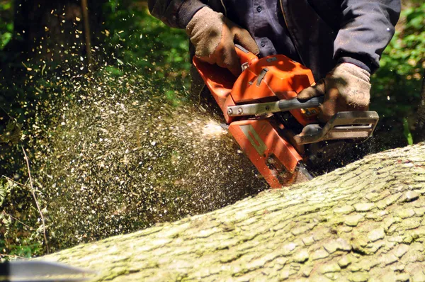 Kettensäge sägt Holz — Stockfoto