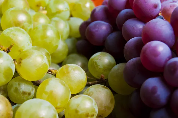 Grapes in a bowl — Stock Photo, Image