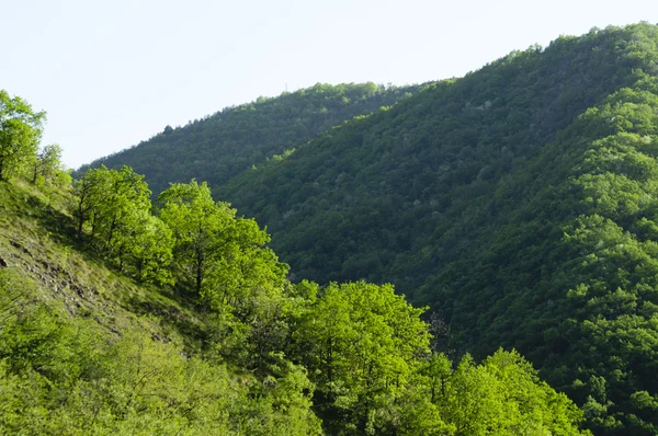 Colline verdi — Foto Stock