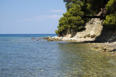 Yukarıdaki ağaçları ile deniz kıyısında