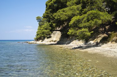Yukarıdaki ağaçları ile deniz kıyısında
