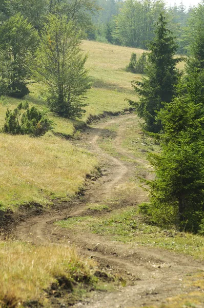 Pista ciclabile di montagna Foto Stock Royalty Free