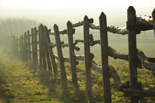 Wooden fence