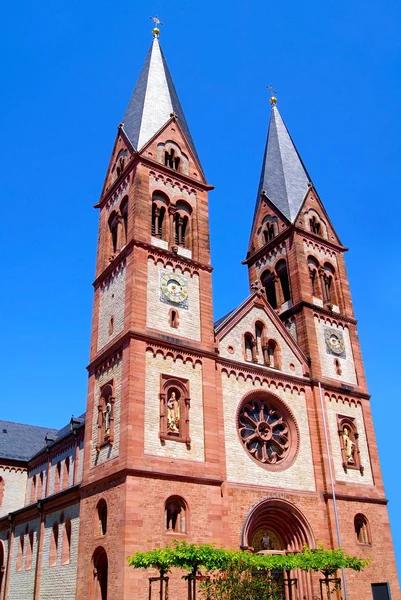 海德堡大教堂 — 图库照片