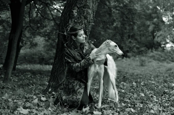 Cão-lobo russo — Fotografia de Stock