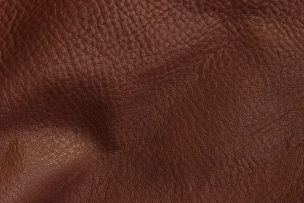Texture de peau cuir — Photo