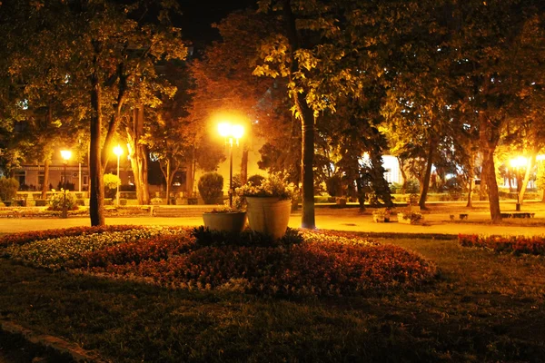Parque nocturno Imagen de archivo