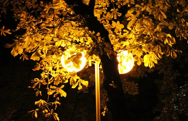 Luces nocturnas — Foto de Stock