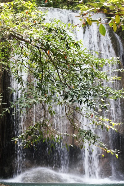 Forest waterfall — Stock Photo, Image