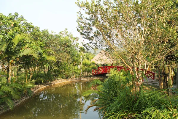 Étang dans le parc — Photo