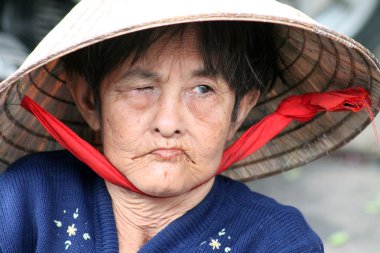 vietnam halkının