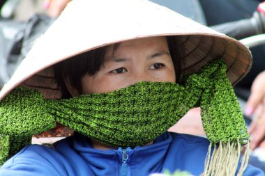 vietnam halkının