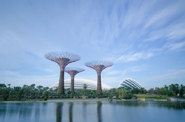만 옆의 정원, 싱가포르 — 스톡 사진