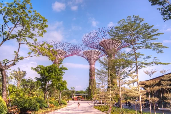 新加坡湾边的花园 — 图库照片