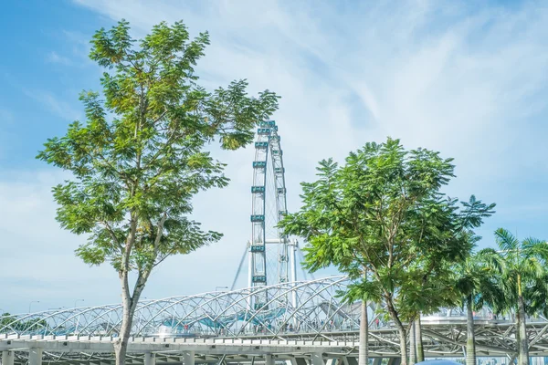 Skyline de Singapura com o Flyer de Singapura — Fotografia de Stock