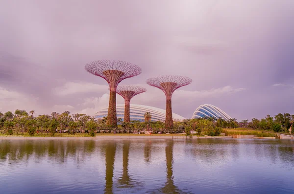 シンガポール湾の庭園 — ストック写真