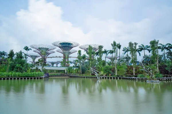 Jardines junto a la Bahía, Singapur — Foto de Stock