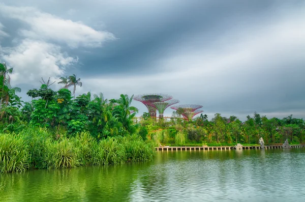 新加坡湾边的花园 — 图库照片