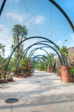 Sahil kenarındaki bahçeler, Singapur