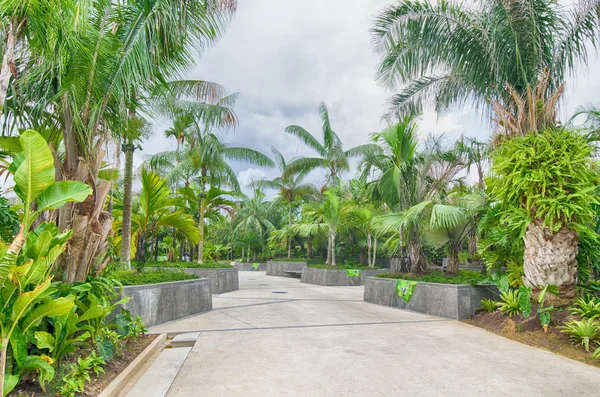 Jardines junto a la Bahía, Singapur — Foto de Stock