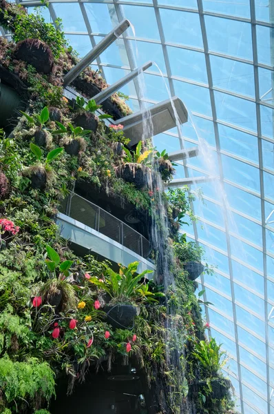 Gardens by the Bay, Singapore — Stock Photo, Image