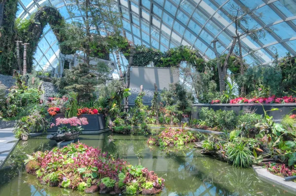 Jardines junto a la Bahía, Singapur — Foto de Stock