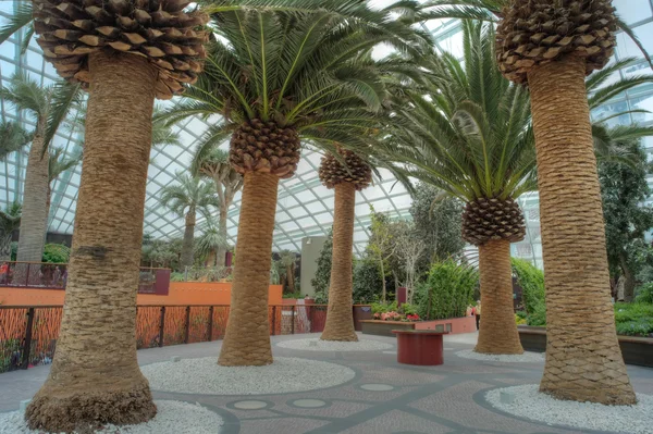 Sahil kenarındaki bahçeler, Singapur