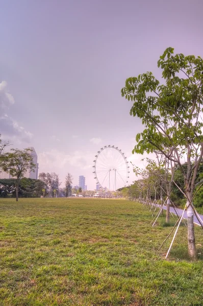 Singapore skyline met de singapore flyer — Stockfoto