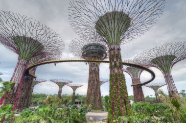 Sahil kenarındaki bahçeler, Singapur