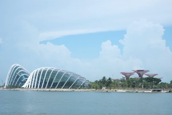 Gardens by the Bay, Singapore — Stock Photo, Image