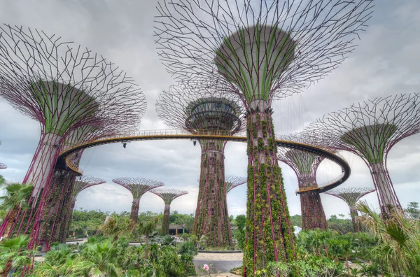 Sahil kenarındaki bahçeler, Singapur