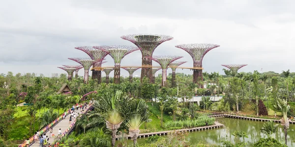 Sahil kenarındaki bahçeler, Singapur