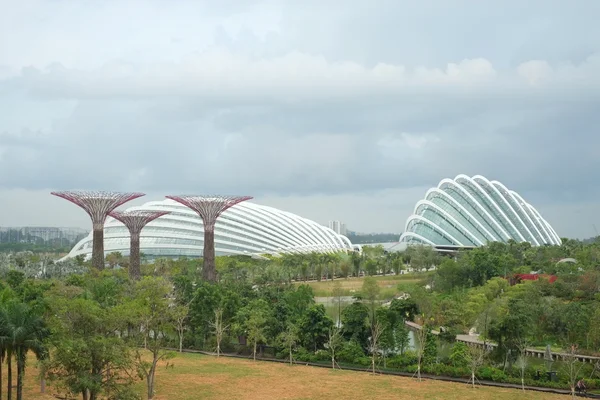 만 옆의 정원, 싱가포르 — 스톡 사진