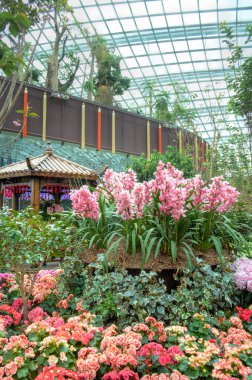 defne, çiçek kubbe bahçelerle