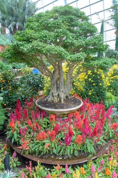 defne, çiçek kubbe bahçelerle