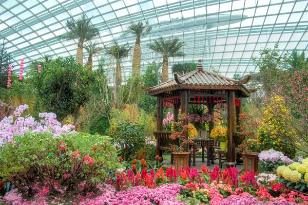 Gardens by the Bay, Flower Dome — Stock Photo, Image