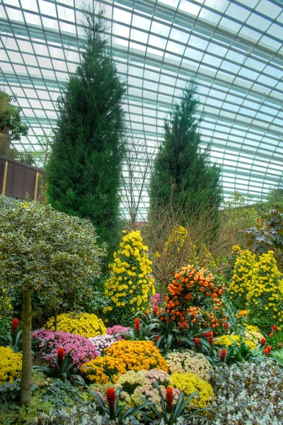 Decoraciones chinas de Año Nuevo en el Flower Dome, Gardens by the Bay, Singapur — Foto de Stock