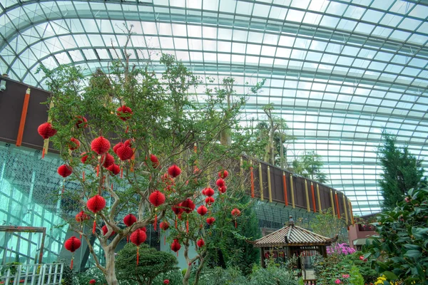 Decoraciones chinas de Año Nuevo en el Flower Dome, Gardens by the Bay, Singapur — Foto de Stock