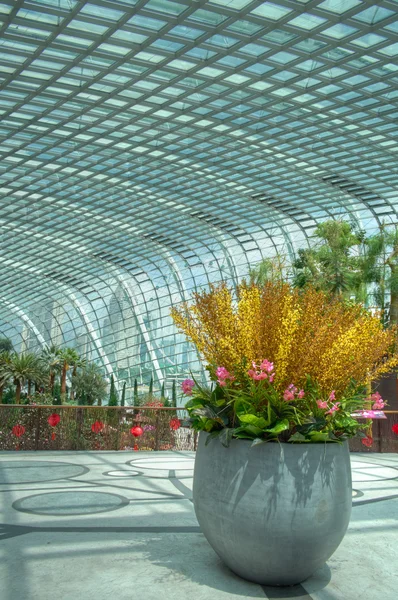 Chinesische Neujahrsdekorationen an der Blumenkuppel, Gärten an der Bucht, Singapore — Stockfoto