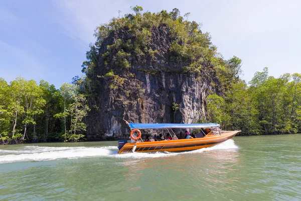 mangrov tur tekneleri