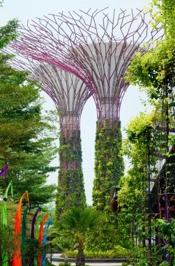 supertrees, Körfez bahçeleri