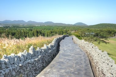 sangumburi krater, jeju Adası