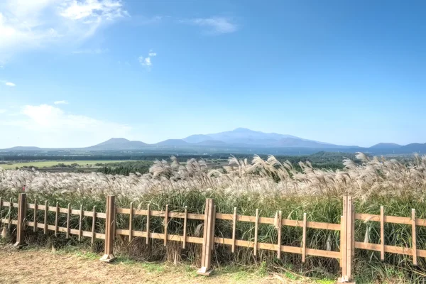 Cratera Sangumburi, ilha de Jeju — Fotografia de Stock