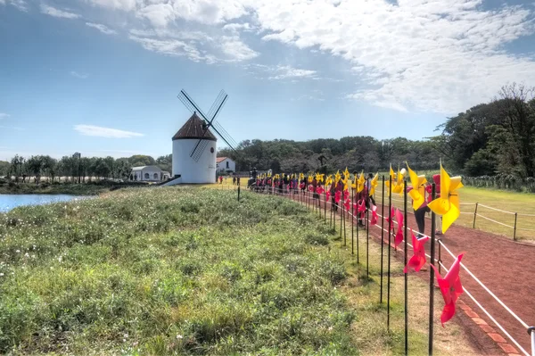 Ecoland Tema Parkı, jeju Adası