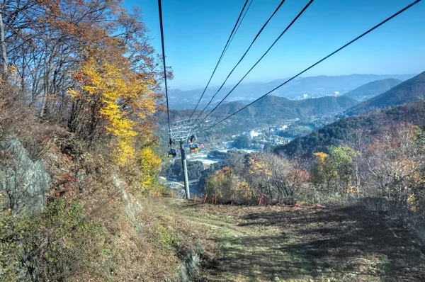 오대산 국립공원 — 스톡 사진