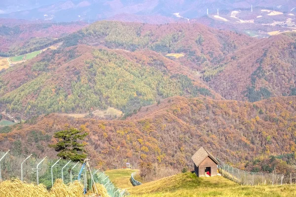 Odaesan Nationaalpark — Stockfoto