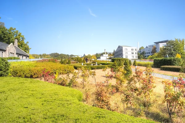 Ewha Women's University — Stockfoto