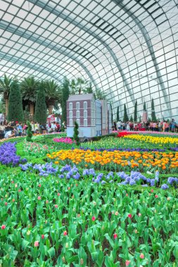 Lale çılgınlığı, Körfez bahçeleri